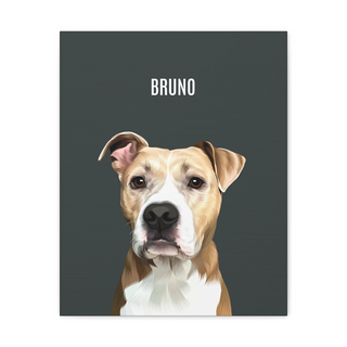 1_Pet_Canvas_Charcoal