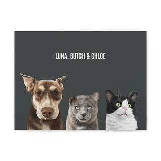 Custom Modern Pet Portrait